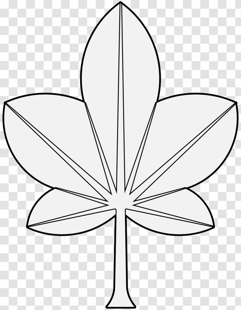 Petal Line Art Leaf Symmetry Clip Transparent PNG