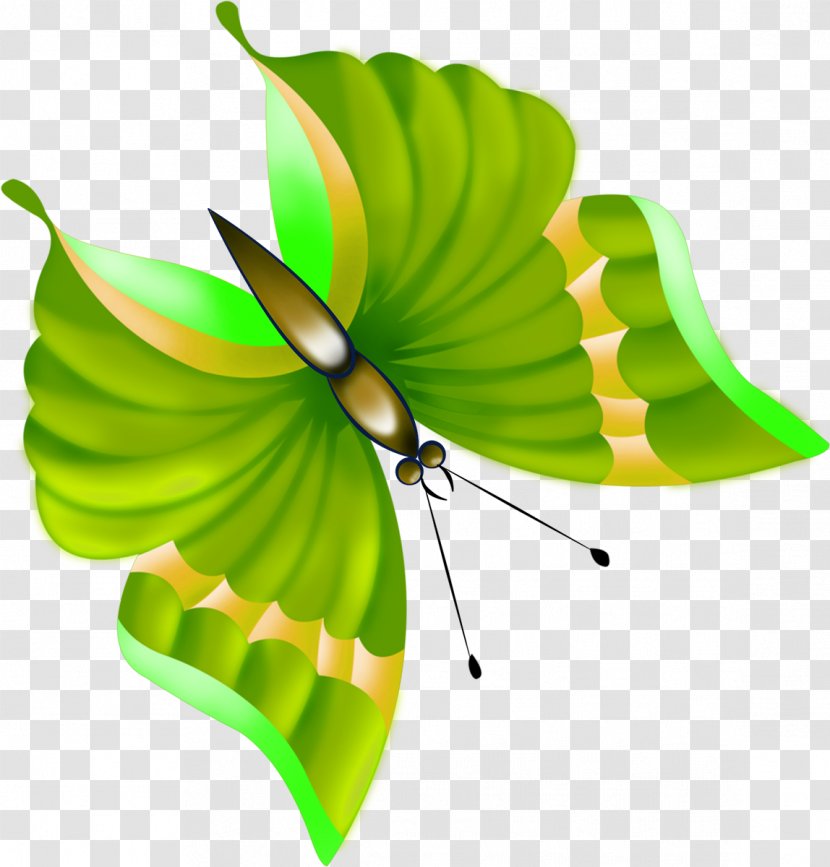 Butterfly Clip Art - Transparency And Translucency Transparent PNG