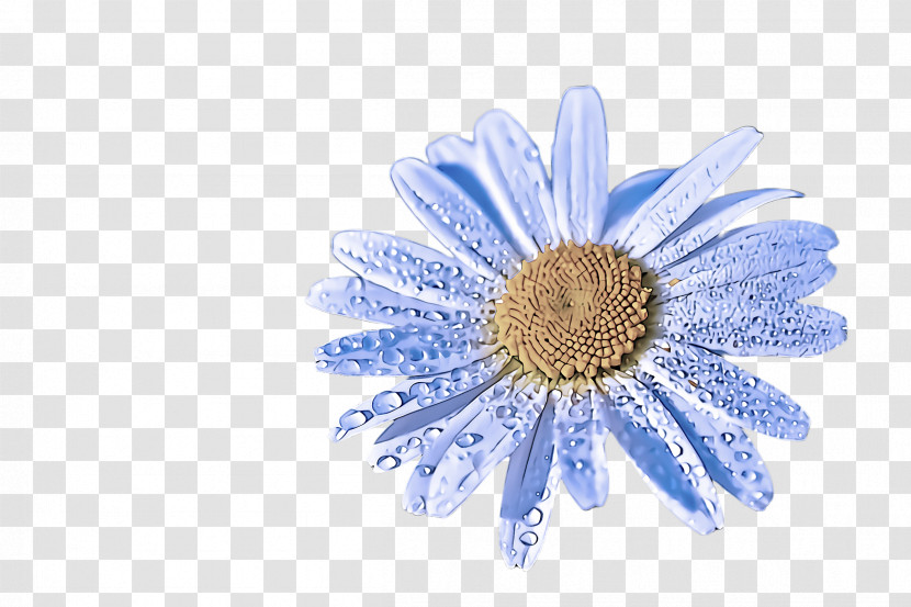 Daisy Transparent PNG