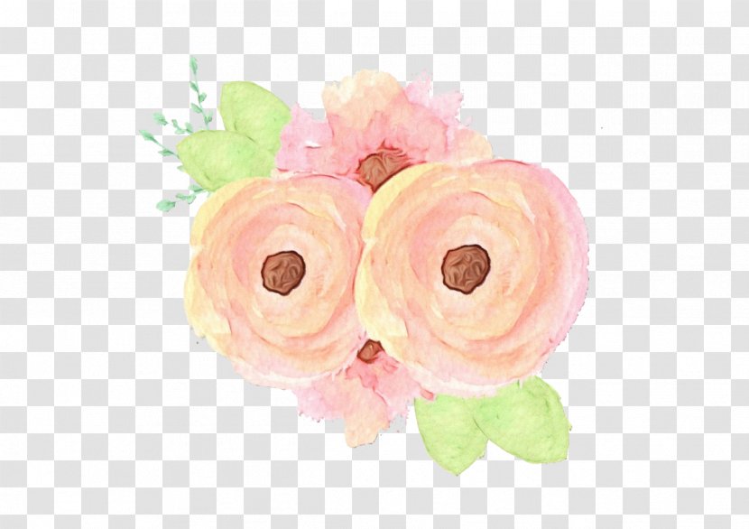 Rose - Cut Flowers - Family Watercolor Paint Transparent PNG