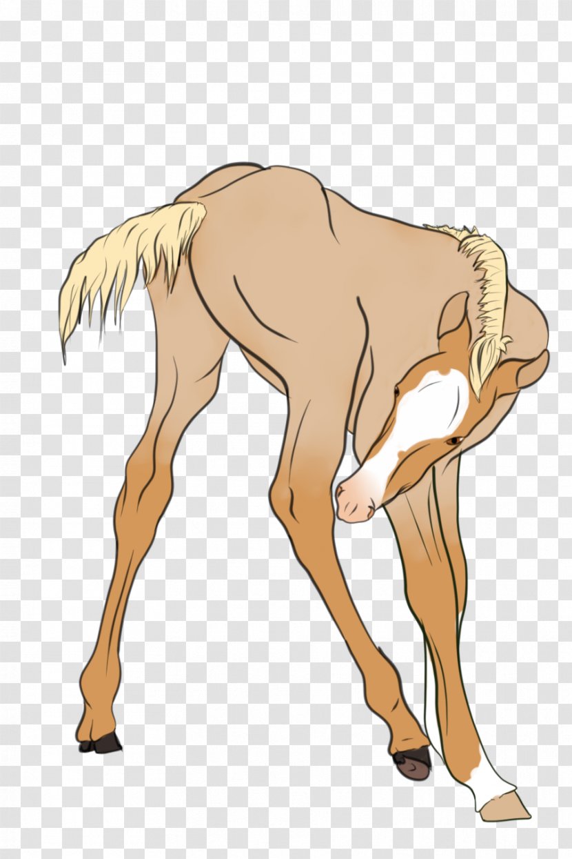 Camel Mustang Foal Deer Pack Animal - Flower Transparent PNG