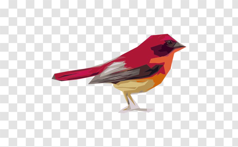 Bird House Sparrow - Feather Transparent PNG