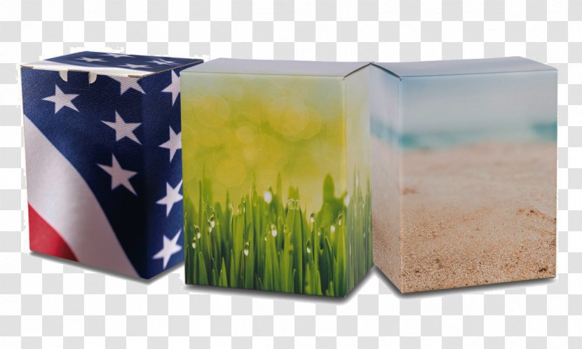 Ypsilanti Shoreline Tri County Cremations Services Plastic Veteran - Recycling Transparent PNG