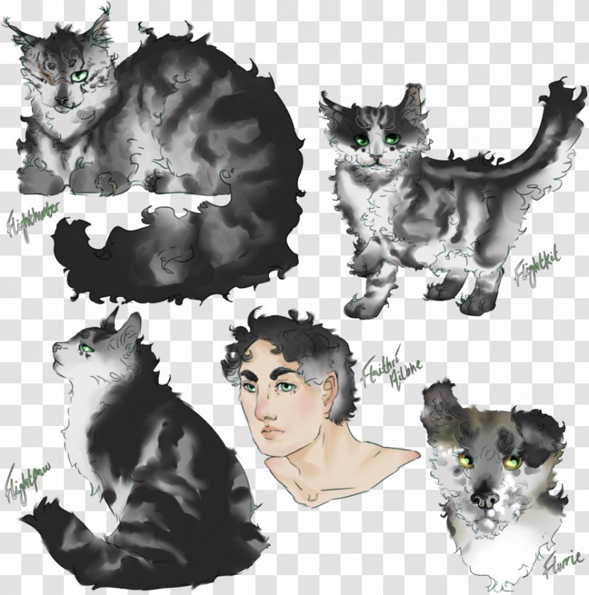 Whiskers Cat Fur Paw Fauna - Organism Transparent PNG