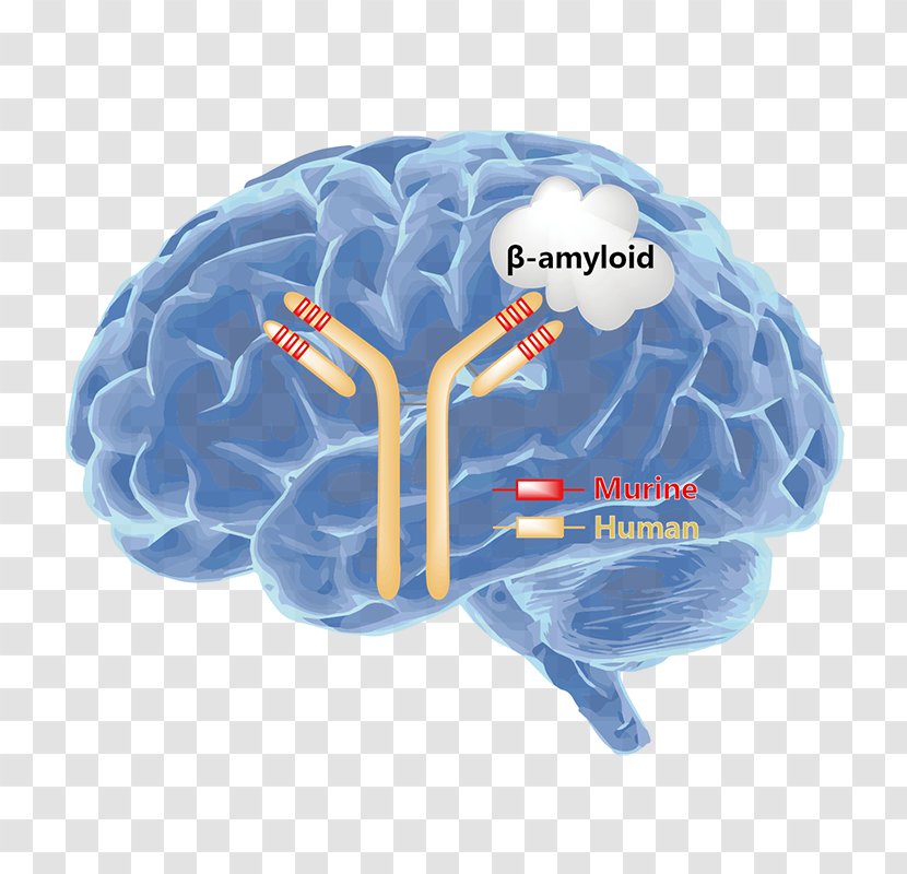 The Holocaust Brain Central Intelligence Agency Neurology Book - Silhouette Transparent PNG