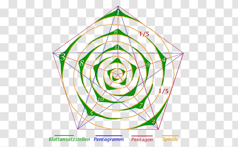 Golden Ratio Angle Sacred Geometry Embryophyta - Pentagram Transparent PNG