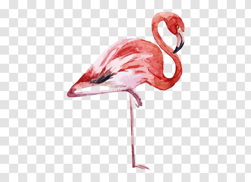 Paper Textile Flamingo Printing - Water Bird Transparent PNG
