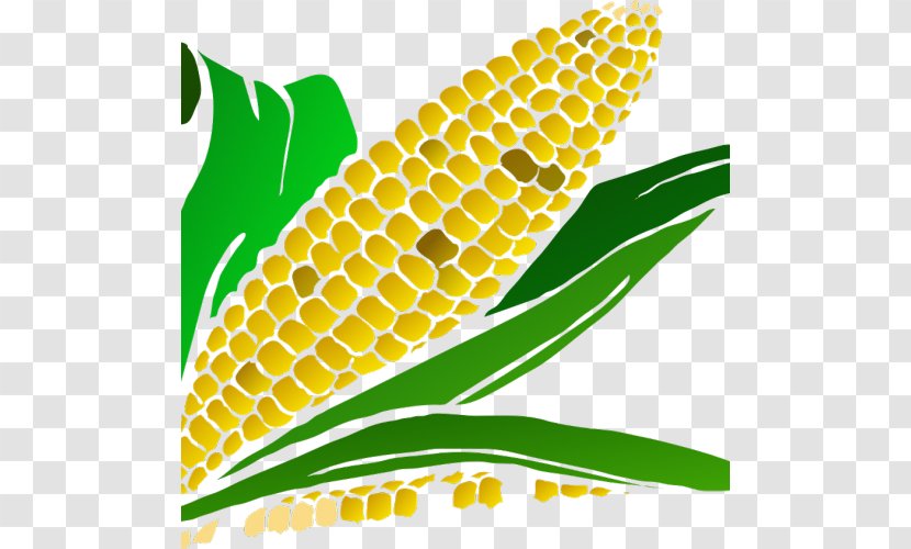Corn On The Cob Stanton Festival Kernel - Yellow Transparent PNG