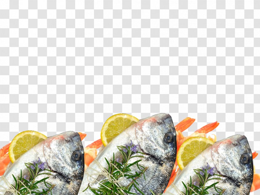 Fish Products Recipe Dish Network - Seafood Transparent PNG