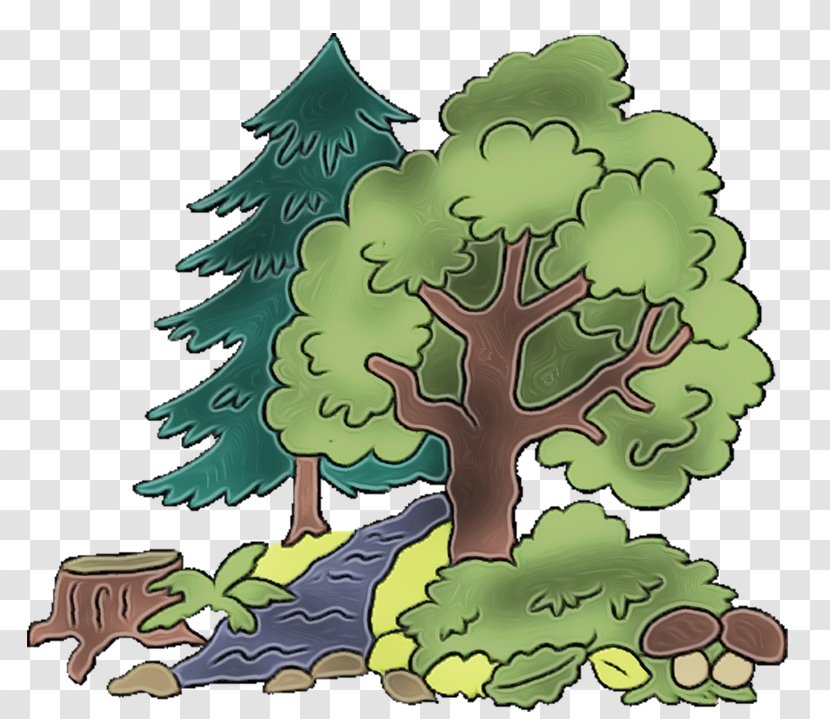 Oak Tree Drawing - Woody Plant - Houseplant Transparent PNG