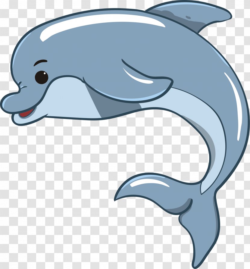 Dolphin Vector Graphics Image Clip Art Stock.xchng - Mammal Transparent PNG