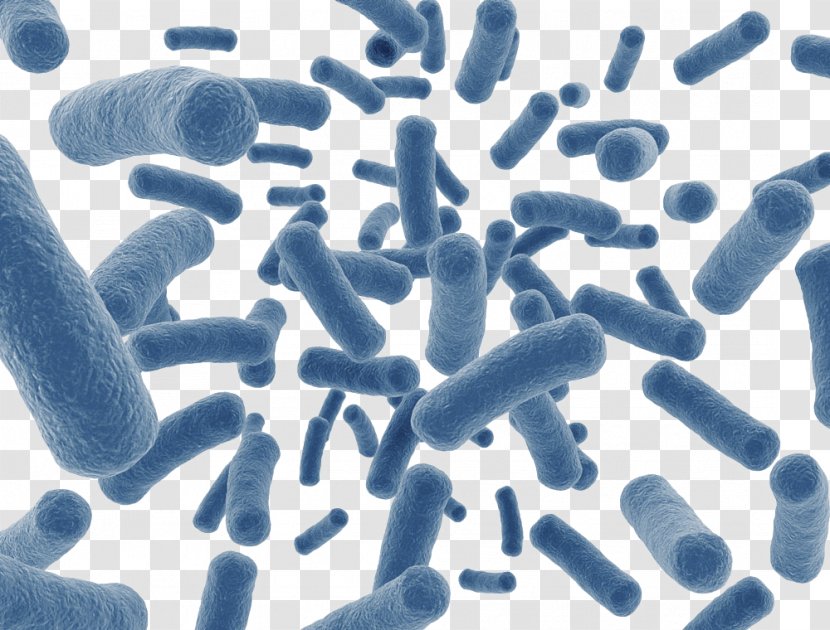 Human Microbiome Project Dietary Supplement Disease Gut Flora Microbiota - Sky Blue Insect-shaped Microbes Transparent PNG