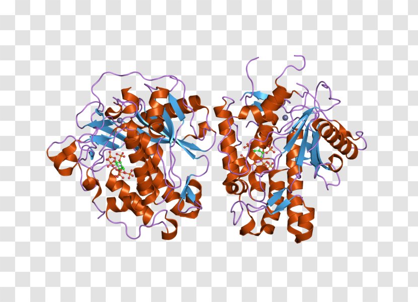 ADARB1 Precursor MRNA RNA Editing Genetic Code - Gene - Rna Transparent PNG