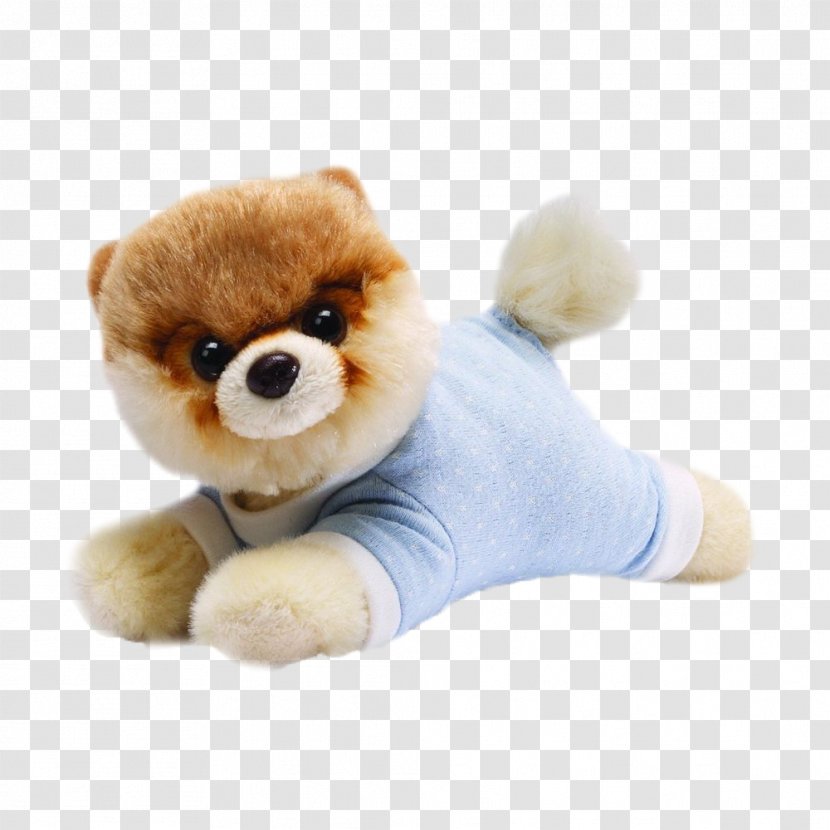 Pomeranian Boo Stuffed Animals & Cuddly Toys Gund - Watercolor - Cute Dog Transparent PNG