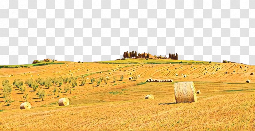 Hay Field Straw Farm Agriculture Transparent PNG