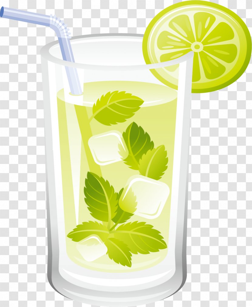 Limeade Water Mint Peppermint Limonana - Lemon Lime - Hand Painted Transparent PNG