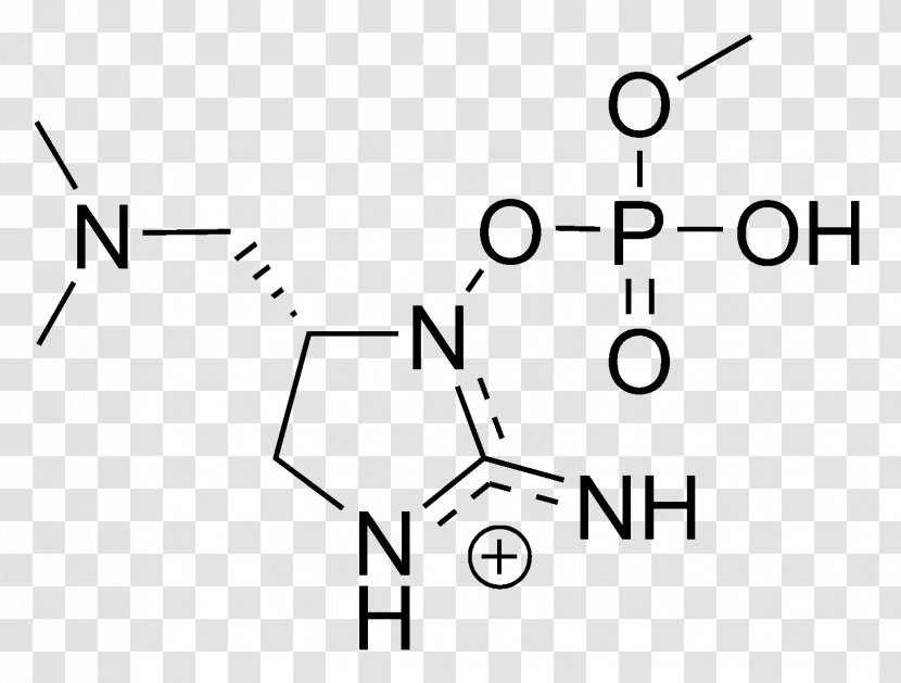 Anatoxin-a(S) Chemical Substance Carboxylic Acid - Symbol - Microbial Mat Transparent PNG