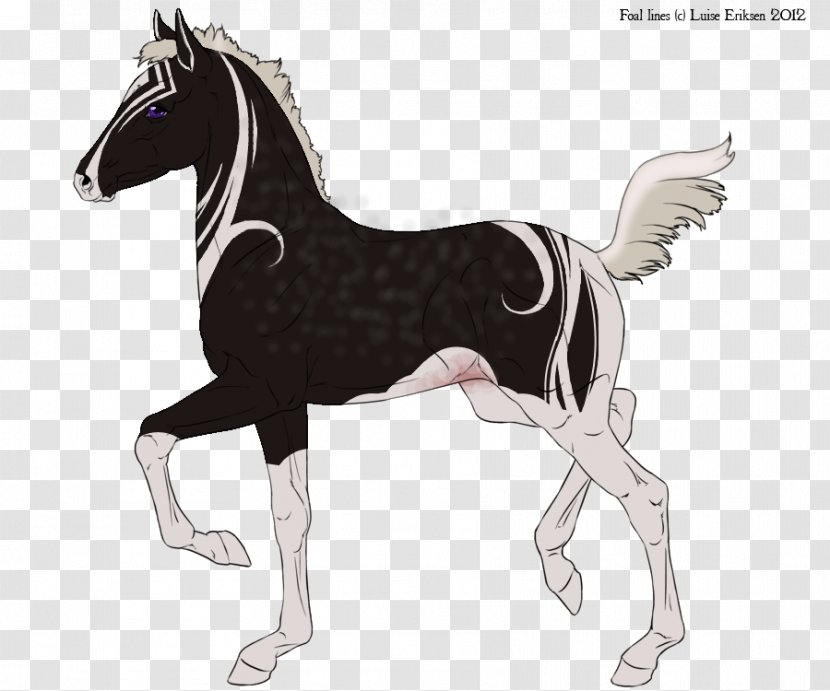 Mustang Foal Mare Pony Gypsy Horse Transparent PNG