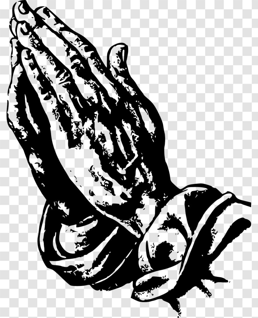 Praying Hands Prayer Drawing Clip Art - Mammal - Hand Transparent PNG