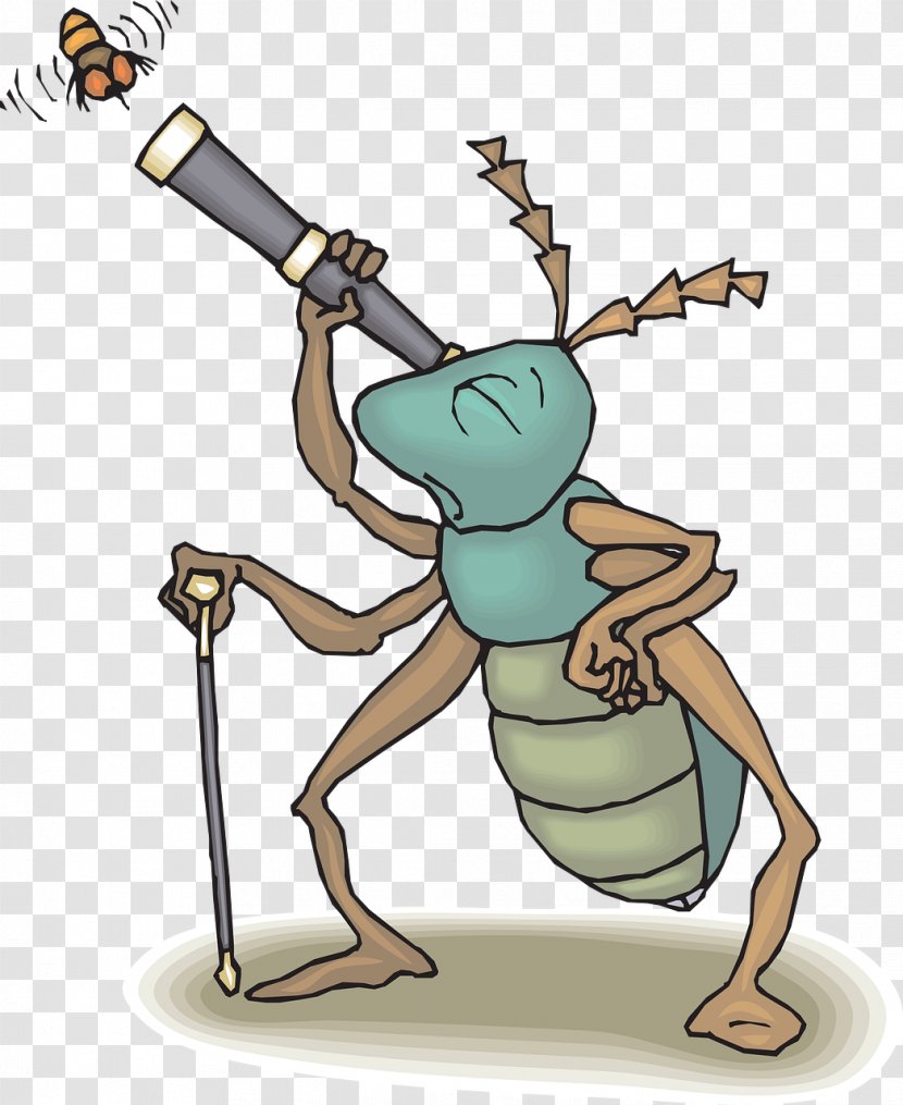 Insect Bug-watching Clip Art - Joint - Watching Ants Transparent PNG