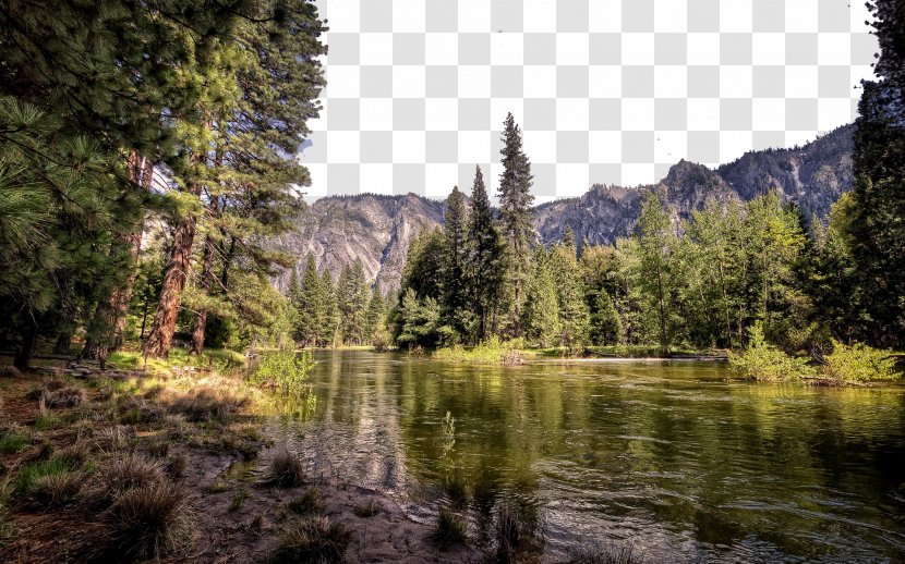 Landscape High-definition Television Desktop Environment Nature Wallpaper - Forest - Yosemite National Park Fourteen Transparent PNG
