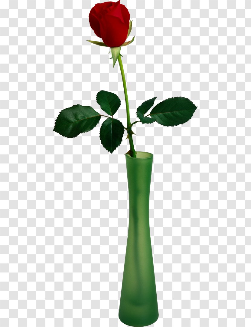Vase Garden Roses Clip Art Flower - Herbal Transparent PNG