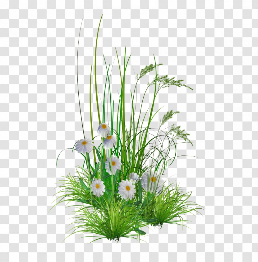 Flower Garden Lawn Clip Art - Raisedbed Gardening - Transparent Hd Background Transparent PNG