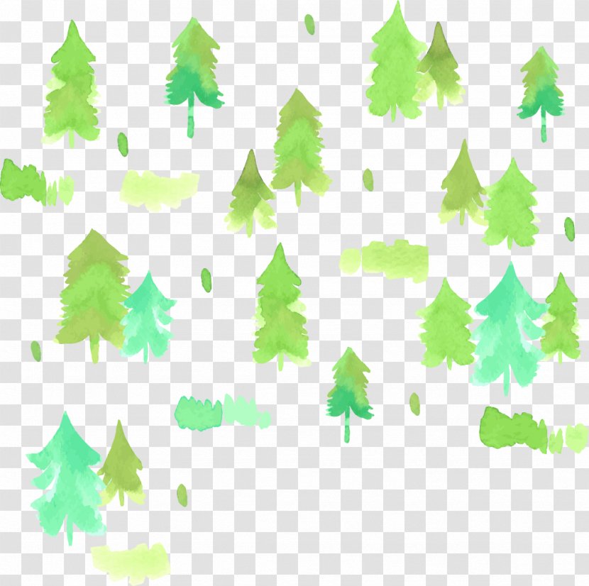 Watercolor Painting - Conifers - Hand-painted Woods Transparent PNG