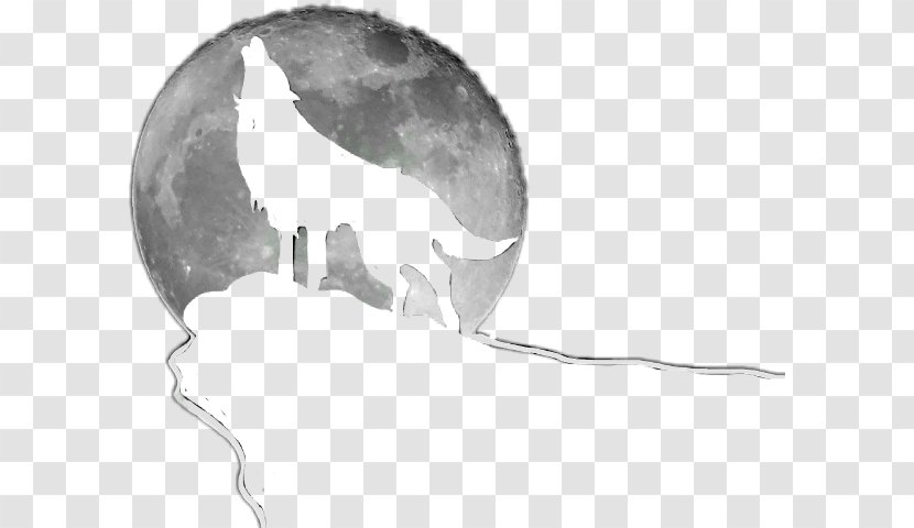 Full Moon Wolf Image - Heron - Cartoon Transparent PNG