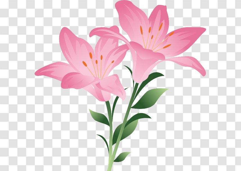 Flower Clip Art Easter Lily Floral Design - Herbaceous Plant - Blumen Garten Transparent PNG