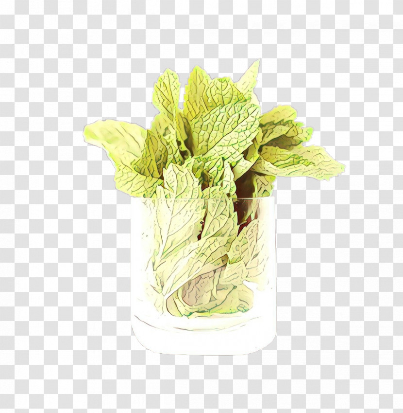 Flower Plant Leaf Romaine Lettuce Leaf Vegetable Transparent PNG