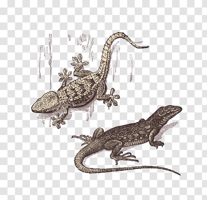 Lizard Gecko Reptile - Raster Graphics Transparent PNG