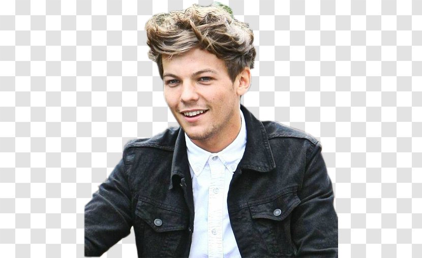 Louis Tomlinson Take Me Home Tour The X Factor One Direction - Flower Transparent PNG