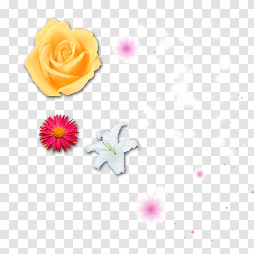 Flower Rose Yellow - Petal - Real Flowers And Small Floral Single Transparent PNG