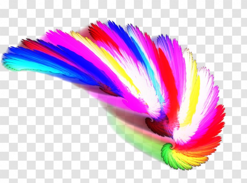 Intense Pulsed Light Feather - IPL Transparent PNG