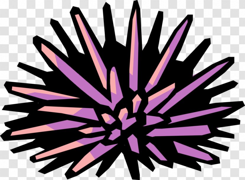 Clip Art Sea Urchin Illustration Openclipart - Bleistift Transparent PNG