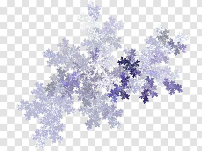 Snowflake Light Apophysis Pattern - 3d Computer Graphics - Snowflakes Transparent PNG