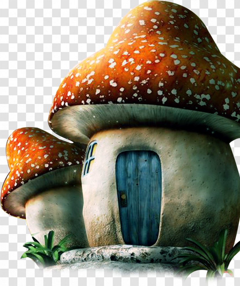 Mushroom Euclidean Vector - House Transparent PNG
