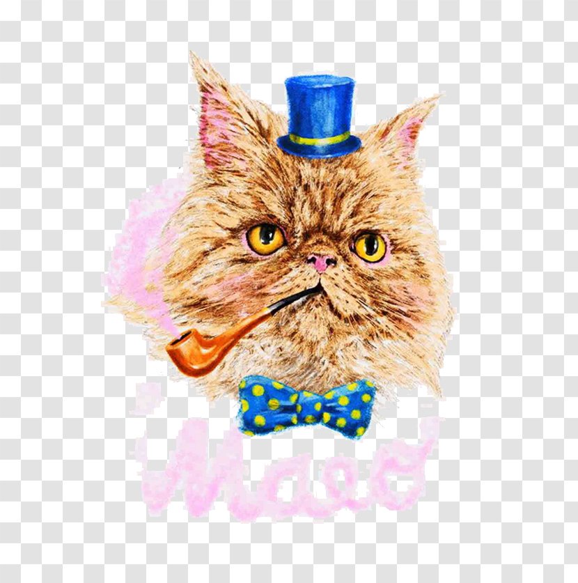 Whiskers Cat Garfield Illustration - Like Mammal - Hand-painted Vintage Transparent PNG