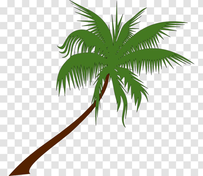 Arecaceae Clip Art - Palm Tree - Limited Outlook Transparent PNG