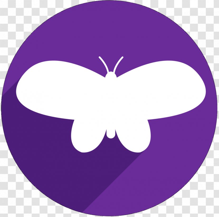 Clip Art M. Butterfly Purple - Moths And Butterflies - Wing Transparent PNG