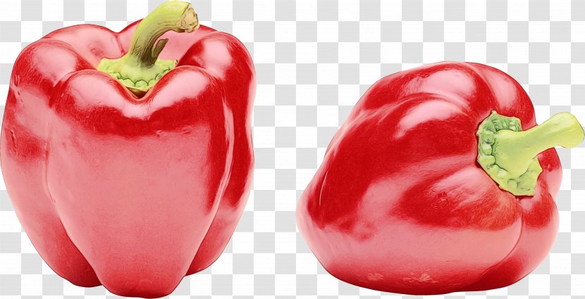 Vegetable Cartoon - Cayenne Pepper - Vegan Nutrition Fruit Transparent PNG