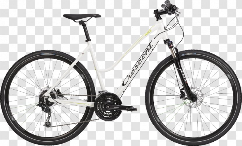 Trek Bicycle Corporation Mountain Bike Shop Absolute Bikes - Superstore Transparent PNG
