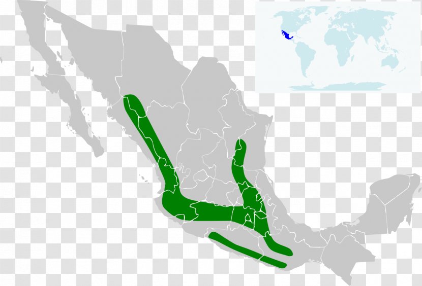 Morelos Durango Mexico City Zacatecas Map Transparent PNG