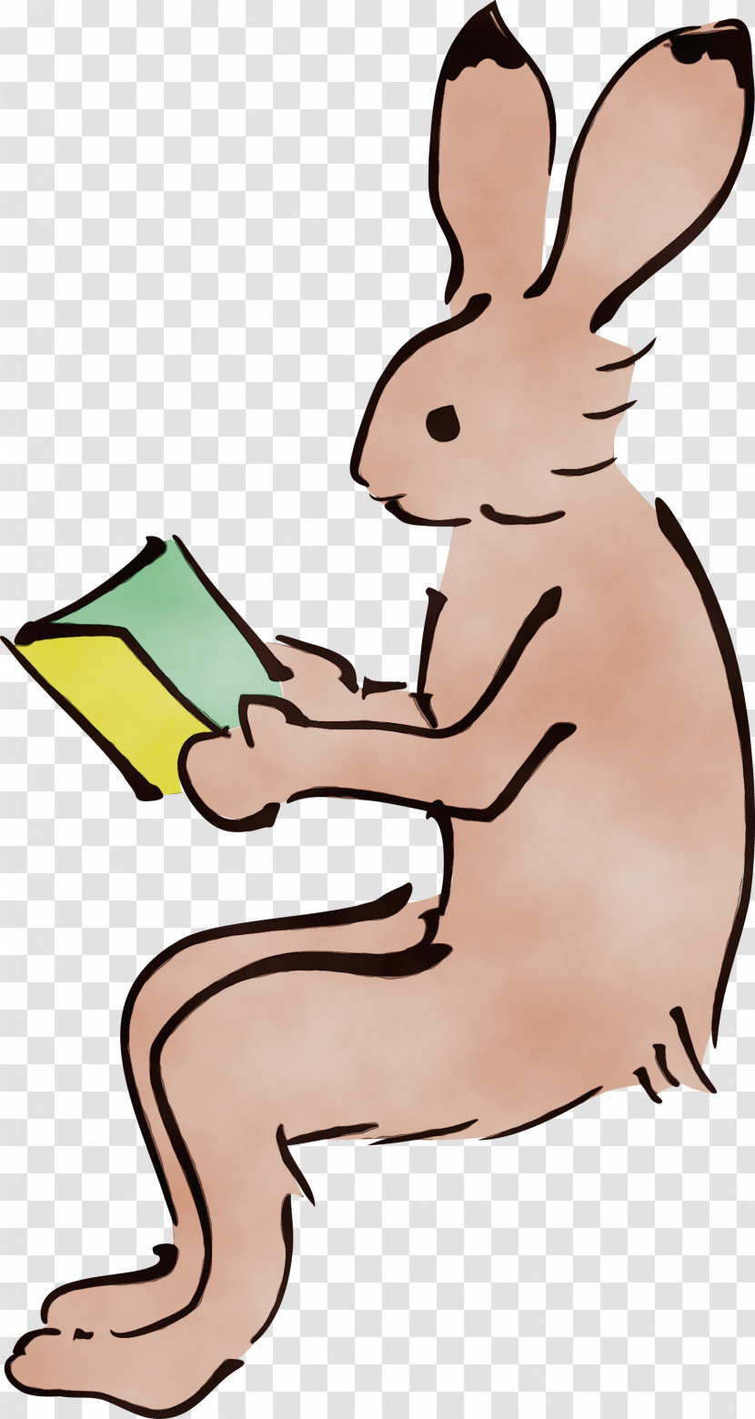 Hares Cartoon Tail Animal Figurine Rabbit Transparent PNG