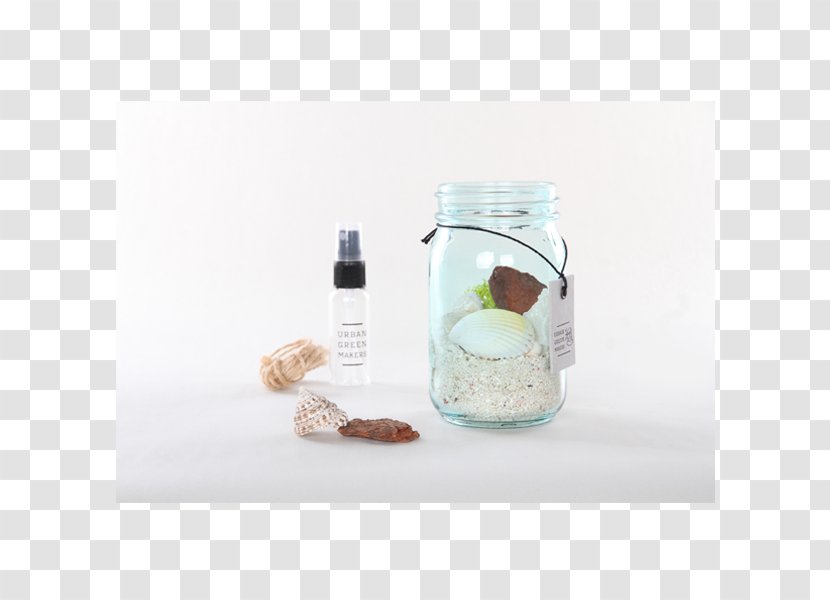 Terrarium Glass Jar Bottle Container - Tillandsia - Jars Prototype Transparent PNG