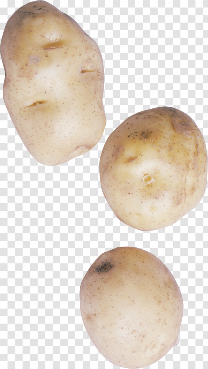 Russet Burbank Potato Yukon Gold Tuber Root Vegetables - Vegetable Transparent PNG