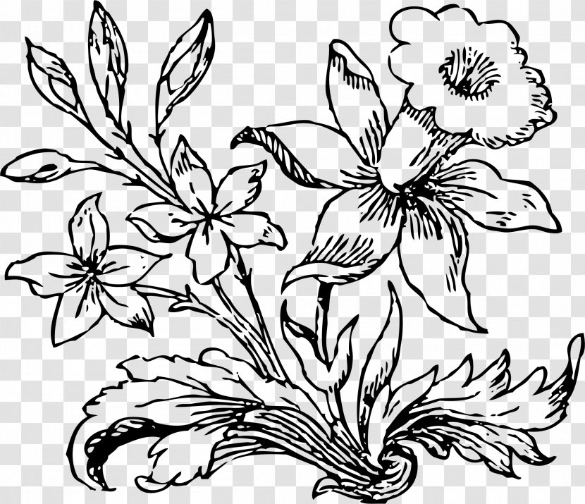 Flower Line Art Color Clip - Floristry - Drawing Transparent PNG