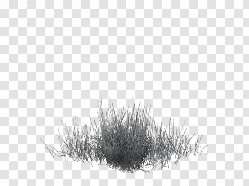 Black White Pattern - Monochrome - Winter Grass Transparent PNG