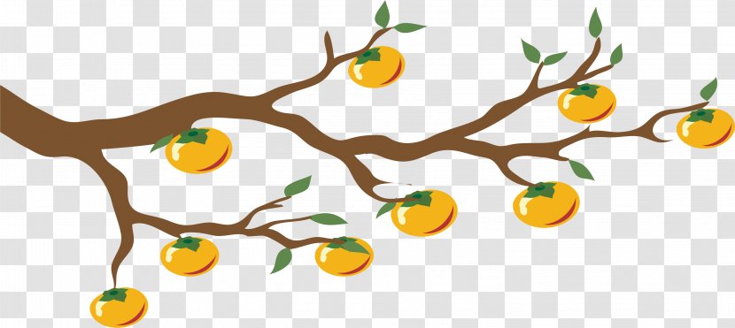 Clip Art - Royalty Free - Persimmon Tree Transparent PNG